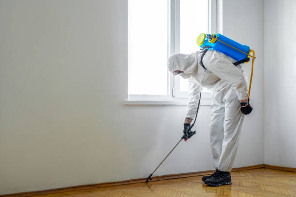 Professional Pest Control in Yuma, AZ