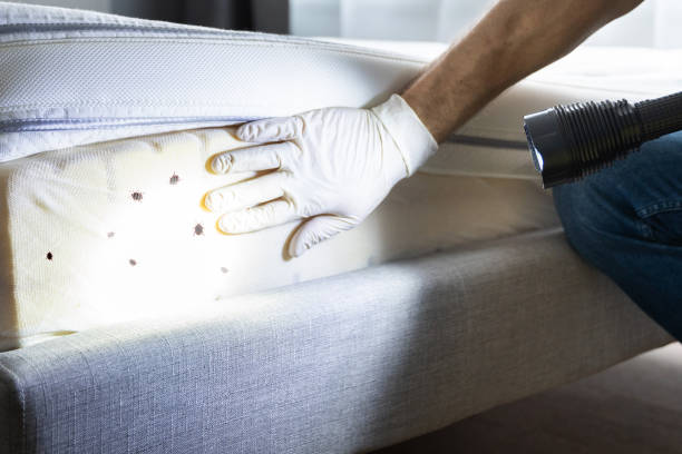 Pest Control Cost in Yuma, AZ