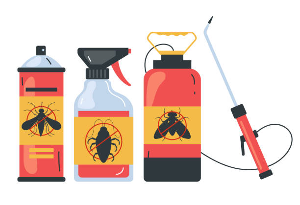 Best Pest Control Treatment  in Yuma, AZ