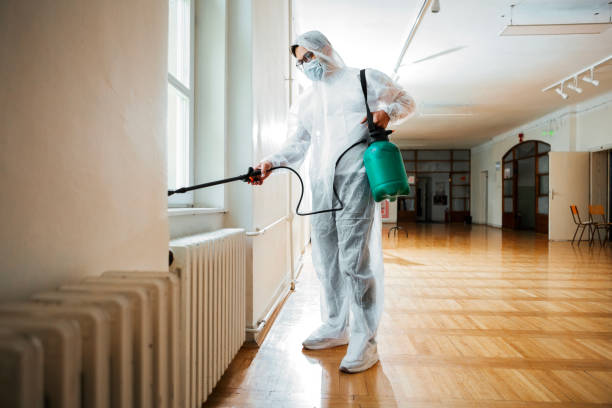 Best Wasp Removal Services  in Yuma, AZ